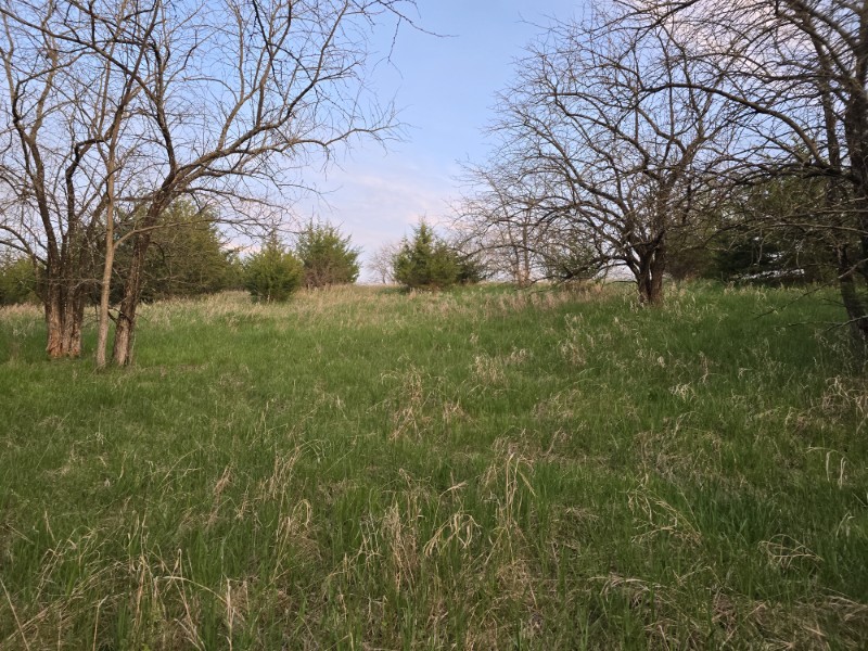 Listing photo 40